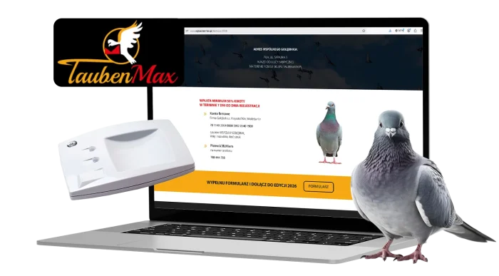 Projekt strony internetowej TaubenMax — wizualizacja na laptopie