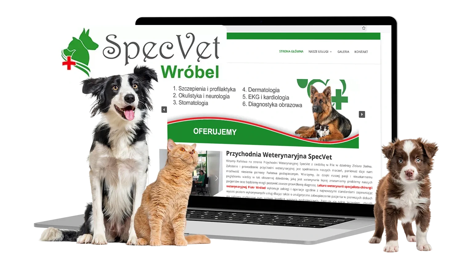 Strona SpecVet Wróbel na laptopie z zielonym logo przychodni, dorosłym psem, kotem i szczeniakiem