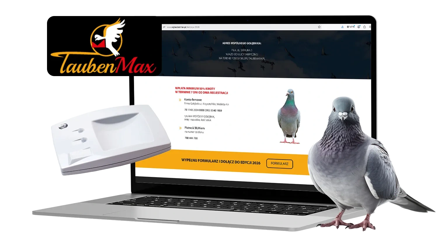 Strona WG TaubenMax na laptopie z logo Wspólnego Gołębnika, gołębiem pocztowym i urządzeniem do rejestracji przylotów