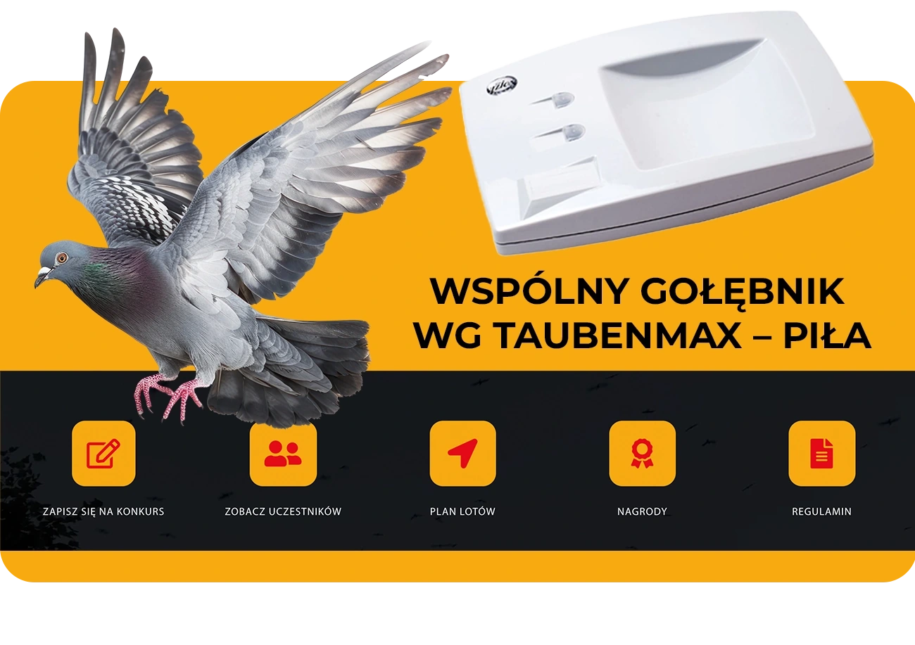 Prezentacja WG TaubenMax z gołębiem w locie, rejestratorem przylotów i ikonami sekcji zawodów