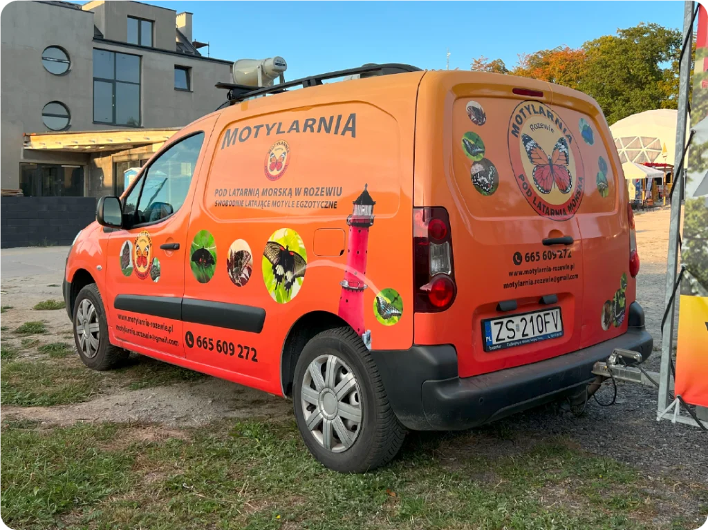 Oklejanie pomarańczowego vana. Reklama mobilna dla Motylarni, branding pojazdu z grafiką motyli.